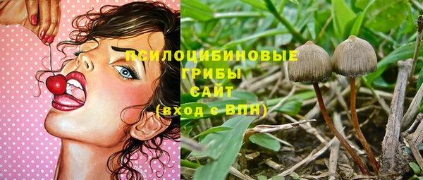 шишки Абаза