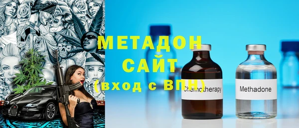 шишки Абаза