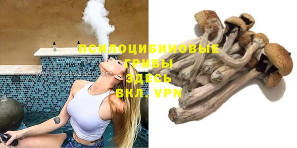 шишки Абаза