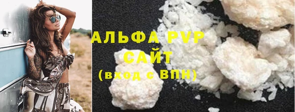 шишки Абаза
