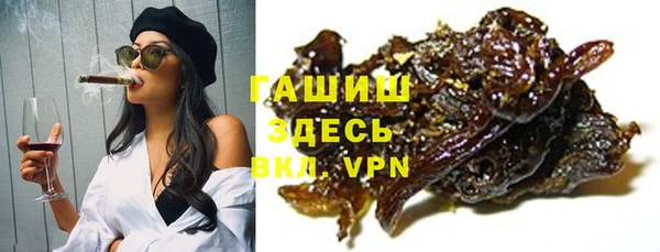 шишки Абаза