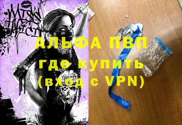 шишки Абаза
