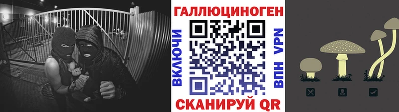 Галлюциногенные грибы Psilocybine cubensis  darknet официальный сайт  Хабаровск 