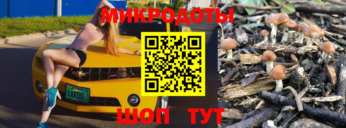 Хабаровск  Псилоцибиновые грибы Cubensis  Галлюциногенные грибы ЛСД  Вход с VPN 