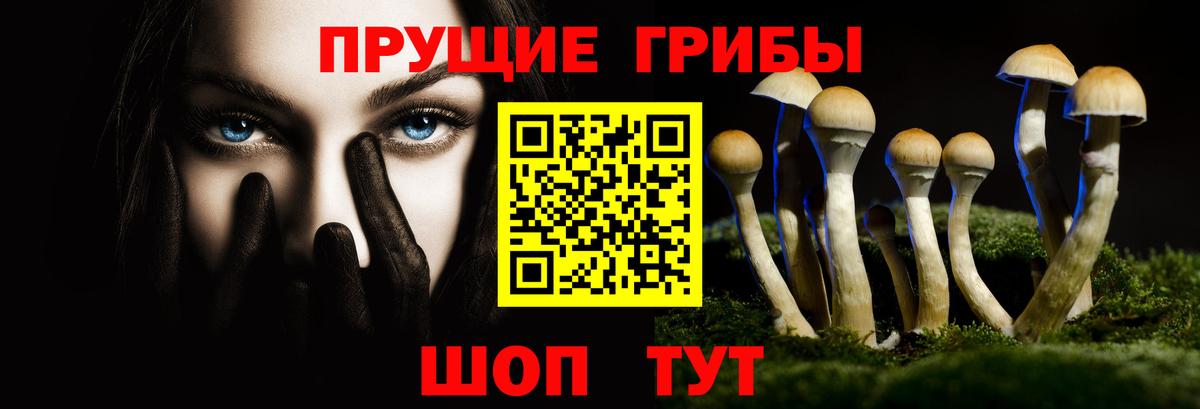 Псилоцибиновые грибы прущие грибы Хабаровск