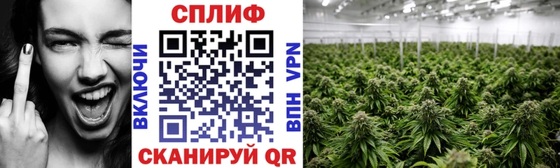 Канабис SATIVA & INDICA  mega онион  Хабаровск  магазин продажи наркотиков 